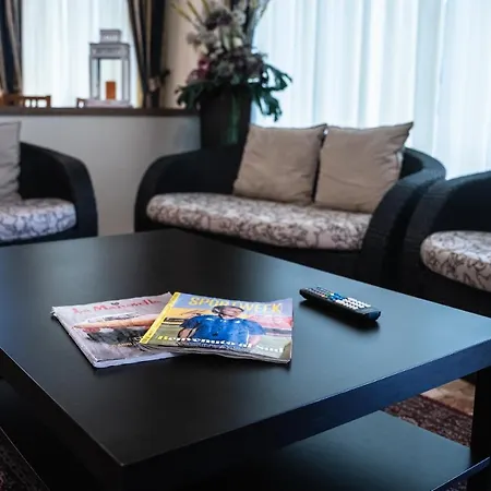 Sayonara 米兰马瑞提那